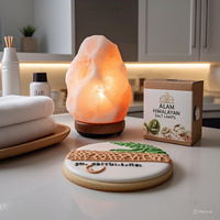 Lampe de sel de l'Himalaya sculptée sur mesure, best-seller, écologique, design croix florale Feng Shui, animaux, amour, lettres religieuses, pour la maison