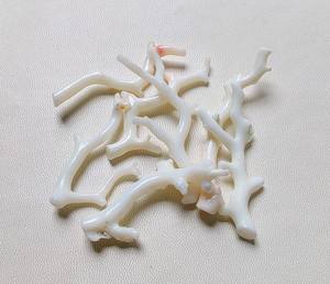 Palo de coral japonés genuino, 7 piezas, palo pulido de coral blanco, piedra preciosa suelta de coral japonés - Product Image 3