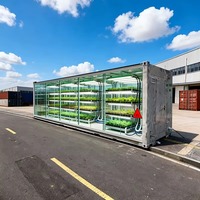 Solution de ferme hydroponique automatisée en conteneurs pour projets d'agriculture intérieure, agriculteurs commerciaux et investisseurs agricoles