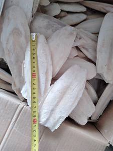 Offre Spéciale os de seiche pour oiseaux/prêt à expédier os de seiche séché Ms sofia - Product Image 5