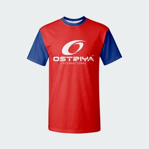 T-shirt pour homme en tissu tricoté respirant 100% coton de haute qualité, coupe classique, logo personnalisé, prix abordable, fabricant de premier plan - Product Image 2