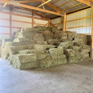 Wholesale Bulk Alfalfa <b>Hay</b> Hot Selling Cheap Price Animal Feed for Horses Cattle Pigs Packaged in <b>Bags</b> - Product Image 3