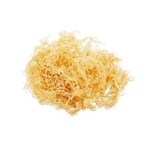 BEST SERVICE <b>DRIED</b> SEA <b>MOSS</b> PREMIUM GRADE BULK SUPPLY - Product Image 5