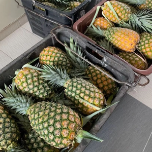 Ananas frais, faible en calories, délicieux, Vinagreen, fruits tropicaux et subtropicaux, emballés en carton - Product Image 6