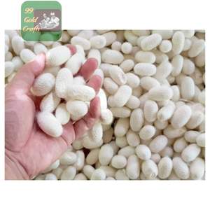 Wholesale Natural Silkworm Cocoons Ideal for Yarn Production and <b>Facial</b> Cleaning Export Grade Vietnam - Product Image 3