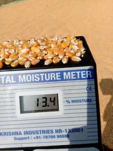 Cheap Premium Yellow Corn <b>Meal</b> for Pig Fish Dog Horse & Cattle Feed Bakery & Industrial Use - Product Image 5