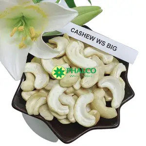 Vietnam cashew nut all quality w320 w180 w240 lp ws bb cashew processor vietnam factory whatsapp 84327008393