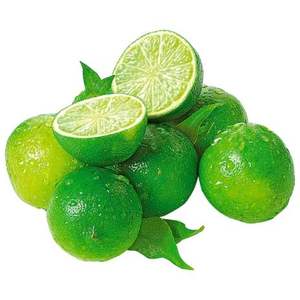 Limes vertes sans pépins en gros, prix Vietnam, approvisionnement en vrac frais pour l'industrie des boissons, haute capacité, haute qualité, durée de conservation de 12 mois - Product Image 2