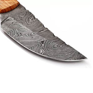 Venta caliente nueva llegada Cuchillo de caza con mango de madera de olivo Cuchillos de caza al aire libre Mango de madera de Olivo - Product Image 2