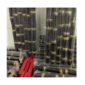 Vietnam Export Caña de azúcar congelada, limpia, jugosa, envasada al vacío, ideal para la extracción de jugo y fabricantes de bebidas tropicales - Product Image 2