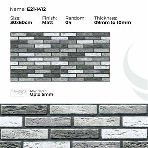 Azulejos de Porcelana para Pared Exterior de 300x600 mm, Elevación Moderna - Product Image 1