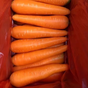 Type de culture de légumes Carottes fraîches biologiques de haute qualité - Product Image 1