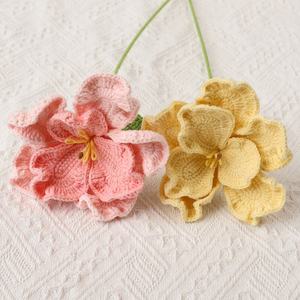 Nuevo Ramo de Flores de Platycodon Tejido a Mano, Decoración Floral para Bodas y Hogar, Accesorios Florales de Ganchillo, Decoración Floral Festiva - Product Image 1
