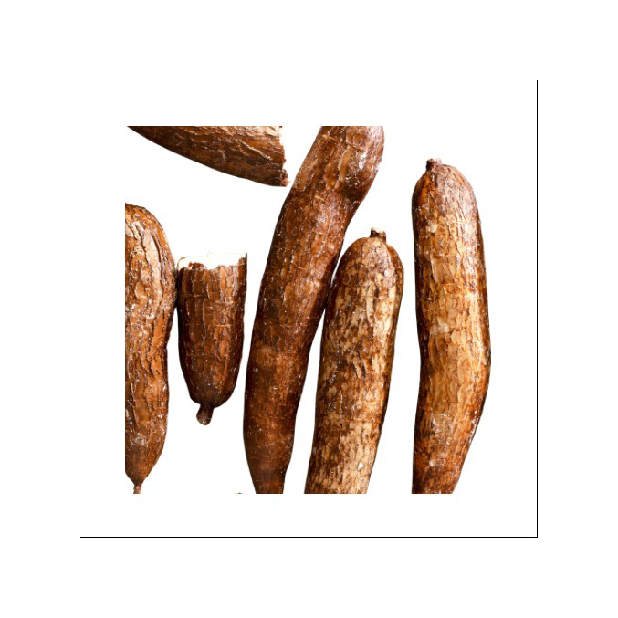 High quality fresh cassava offered for wholesale agricultural supply