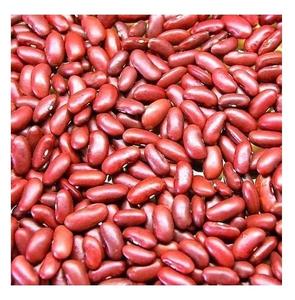 Proveedor de Frijoles Rojos Oscuros 100% de Nueva Cosecha a Precio Económico, Frijoles Rojos a Precio de Mayoreo con Envío Rápido - Product Image 2