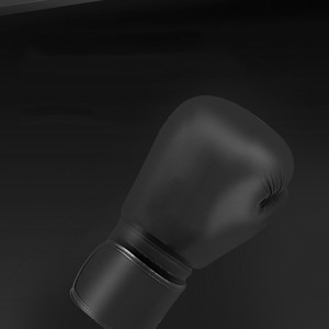 Gants de Kickboxing pour hommes, équipement de boxe, entraînement, sac de frappe, entraînement, combat, arts martiaux, entraînement - Product Image 5