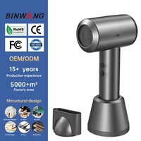 Sèche-Cheveux Portable Professionnel Binwang, Mini Séchoir à Cheveux sans Fil Rechargeable au Lithium 300W pour Extérieur et Domicile