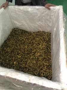 Concombre mariné traditionnel sans conservateurs - Product Image 3