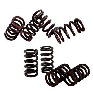 Kao Cygnus ชุดสปริงวาล์วสแตนเลสสำหรับติดตั้ง/อัปเกรดชิ้นส่วนเครื่องยนต์ - Product Image 1