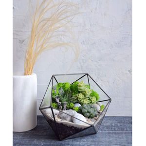 Terrario de cristal geométrico 'espacio' minimalista Home Deco para amantes de las plantas, sala de estar interior personalizada, flores artificiales - Product Image 6
