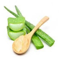 Vente chaude Pure Plant Healthy Aloe Vera Extract Herbal Extract Meilleure qualité Aloe Vera poudre au meilleur prix de l'Inde