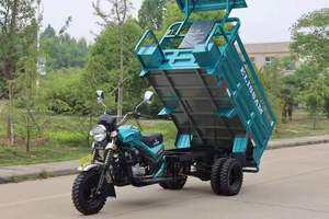 250 सीसी गैसोलीन-संचालित कार्गो ट्राइसाइकिल उच्च-प्रदर्शन उच्च-भार वाले रियर-पहिया मोटरसाइकिल - Product Image 4