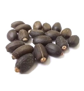 Vente en gros de graines et d'huile de Jatropha Curcas Graines de Jatropha de qualité supérieure Prix de gros Graines de Jatropha - Product Image 6