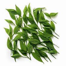 ใบปอกระเจาสีเขียวแช่แข็งผักจากพืชคุณภาพพรีเมี่ยมติดฉลากสะอาดเพิ่มพลังภูมิคุ้มกัน - Product Image 5