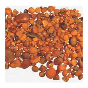 Producto de extracto de animales Premium de buey seco de calidad fresca al mejor precio - Product Image 1