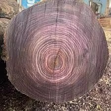 Grumes de palissandre Grumes de palissandre de qualité supérieure Palissandre Bois - Product Image 2