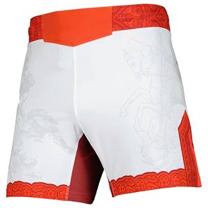 Nuevos Shorts de Artes Marciales Personalizados al por Mayor 2025, Secado Rápido, Elásticos, Ligeros, Transpirables, 100% Poliéster, Shorts de MMA - Product Image 3