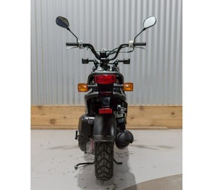 NUEVO Scooter-Motocicleta <span class=keywords><strong>Honda</strong></span> Ruckus 2026 - Product Image 5