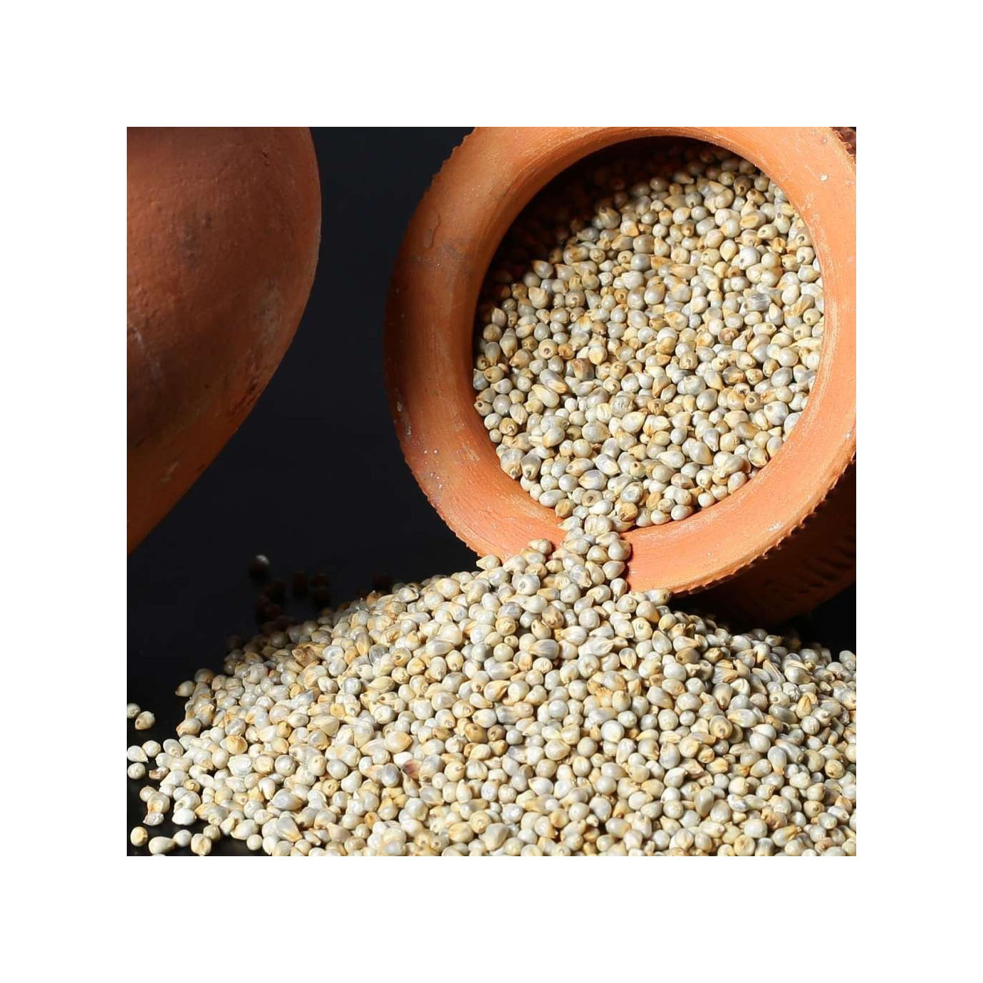 Wholesale Quality Millet Feed for Cattle Grain Type Low Price for Sale