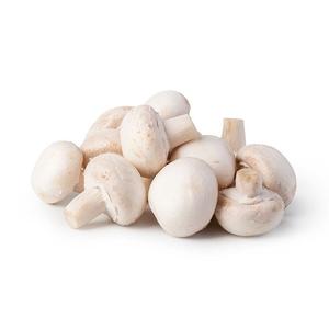 Champiñones Blancos Frescos Congelados de Alta Calidad y Frescura Garantizada - Product Image 5