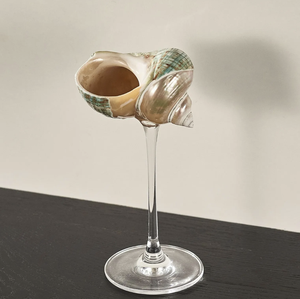 Vidrio en forma de concha marina, ideal para mostrar bebidas y estilo de mesa de lujo para el hogar - Product Image 4