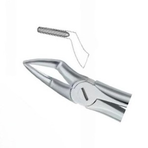 Pince d'extraction de dents Fig51 Produits de logo personnalisé de haute qualité Instruments dentaires en acier inoxydable - Product Image 3