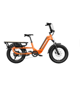 NUEVO Bicicleta Eléctrica de Carga con Llantas Gruesas, 48V 750W, Batería de Litio, Acero Aleado, 7 Velocidades, en Oferta - Product Image 2