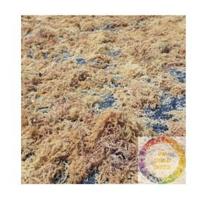 สาหร่ายแห้ง Eucheuma cottonii จากเวียดนาม - Product Image 1