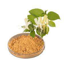 Extrait de fleur de chèvrefeuille prix le moins cher - Product Image 2