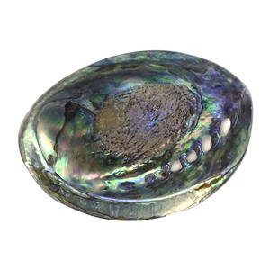 Quemador de incienso de concha de abulón estándar con diseño único, cuenco para difuminar estilo amor náutico con Interior de arcoíris - Product Image 2