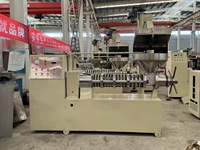 Petite presse automatique pour la fabrication d'huile de son de riz, de soja et de moutarde, machine d'extraction, prix au Pakistan, au Bangladesh et en Inde