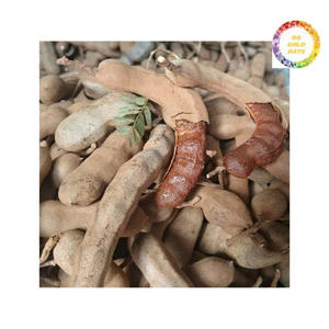 Premium Frozen Tamarind Natural Seedless Pulp <b>Sweet</b> Sour Flavor for Cooking Snack Ingredient Wholesale Export Asian Use - Product Image 6