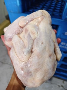 Pechuga de Pollo Halal Congelada Sin Hueso OEM en Venta, Acero Inoxidable - Product Image 4