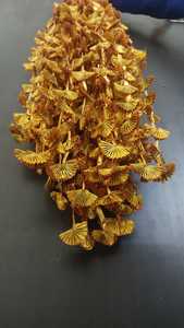 Golden Gota Bunches Guirnaldas para configuración de escenario Decoración de techo Telón de fondo de boda y cadena decorativa para Mandap y decoración de templo - Product Image 3