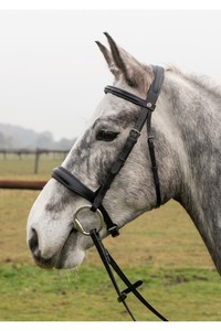 Brida para Caballo de Cuero Premium con Tirador Lateral, Tamaño y Logotipo Personalizables, Venta al Por Mayor - Product Image 3