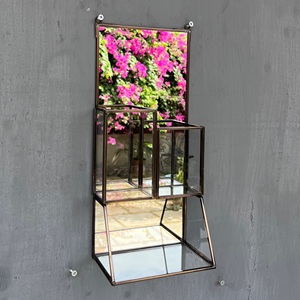 Miroir mural décoratif avec étagère en laiton, verre et miroir, utilisé pour la décoration intérieure, la vitrine et le rangement, fournisseur d'Inde - Product Image 2