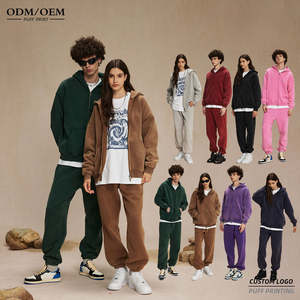 Vente en gros de sweats à capuche unisexes 300 GSM Premium Sweatshirts lourds Prix d'usine Sweats à capuche chauds doux et confortables - Product Image 1