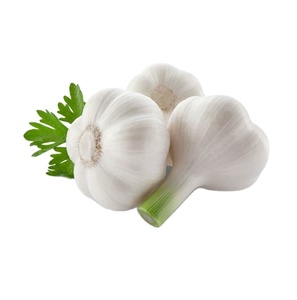 New Crop Organic <b>Fresh</b> <b>Garlic</b> in Bulk for Food Usage Available for Wholesale - Product Image 4