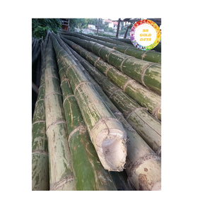 ไม้ไผ่คุณภาพสูงจากเวียดนามวัสดุธรรมชาติที่ทนทานสำหรับการทำรั้วการจัดสวนและการส่งออกทั่วโลก - Product Image 1