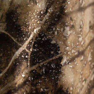 Veste tactique de chasse camouflage imperméable respirante en softshell pour homme avec capuche, plusieurs couleurs avec poches ODMOEM - Product Image 6